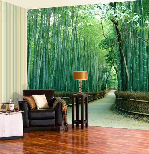 В бамбуковом лесу