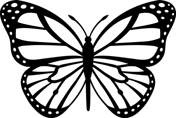 Бабочка с тонкими крылышками