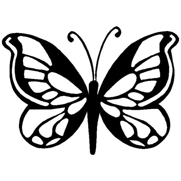 Бабочка с узорами на крылышках