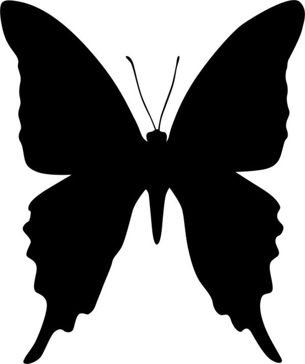 Бабочка с вытянутыми крыльями